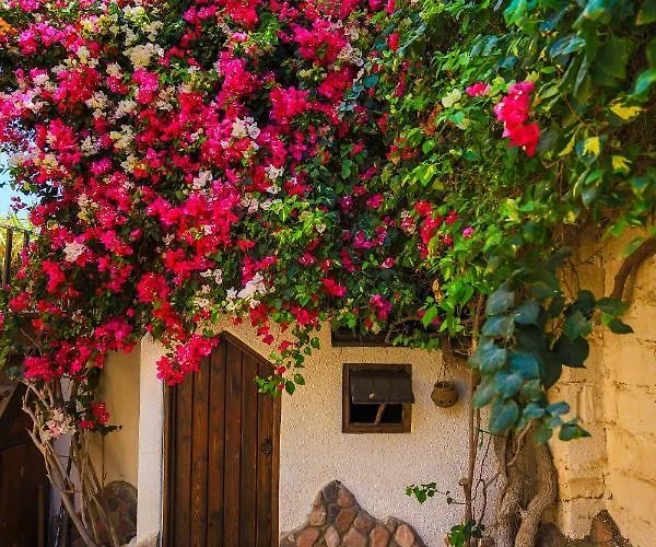 Beit Theresa * Dahab